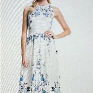 Anthropology  Dress by Cynthia Steffe